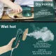 Mini Professional Steam Iron Handheld Portable Garment Steamer Wet Dry Ironing Machine Portable Electric Iron Steamer Clothes